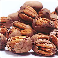 Pecan nuts cracked